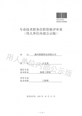 专业手艺职务任职资格评审表 （用人单位内部公示版）